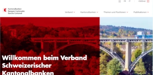 vskb website image